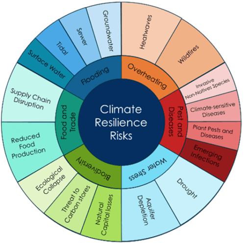 Climate resilience for SMEs - Heart of the City